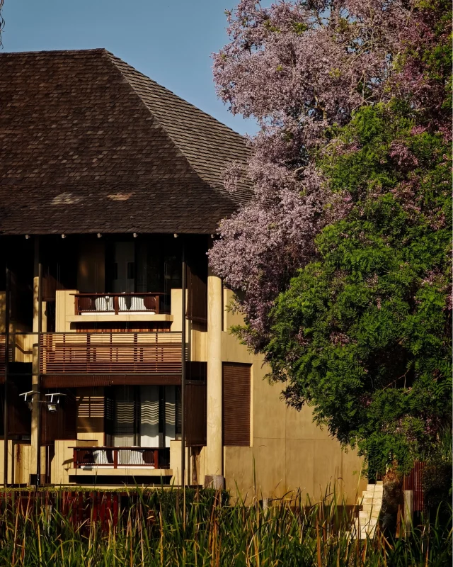 The passage of time will lead you to see the light, the colors, and the whole atmosphere shift all around you. 🌤️ From a gentle morning light to the warm luster amongst the evening bloom. 🌅 Whenever it is, the thing that always remains is the peace and comfort uniquely available at Kirimaya. 🤍

ช่วงเวลาที่เปลี่ยนไป ทำให้แสง สี และบรรยากาศรอบตัวค่อยๆ เปลี่ยนตาม 🕰️ จากแสงเช้าที่นุ่มละมุน ไปจนถึงแสงเย็นที่อบอุ่นท่ามกลางต้นไม้และดอกไม้ที่กำลังเบ่งบาน 🌸 แต่ไม่ว่าจะเป็นช่วงเวลาไหน สิ่งที่ยังคงอยู่เสมอคือความสงบและความสบายใจที่คีรีมายา 🍃✨

#KirimayaKhaoyai #Relaxing #Refresh