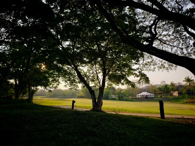 Let positive energy in as you rest under the shade of wide-spreading trees and enjoy the elements of nature all around. Reach the pinnacle of relaxation in the midst of breezy whispers of swaying leaves and simply look at the sun gently weaves its golden light through the branches to the open grassy field ahead. It's moments like these that will show you that it only takes a few slow steps in life to freshen up your mind and wash all the exhaustion away.

ใต้ร่มเงาอันอบอุ่นของต้นไม้ใหญ่ 🌳 สัมผัสถึงพลังงานดีๆ ที่ส่งผ่านมาจากธรรมชาติรอบตัว ปล่อยให้จิตใจได้พักผ่อนอย่างเต็มที่ท่ามกลางเสียงกระซิบเบาๆ ของใบไม้ที่พลิ้วไหวตามแรงลม ทอดสายตามองแสงแดดอ่อนๆ ที่ลอดผ่านกิ่งก้านลงมาสัมผัสผืนหญ้าสีเขียวขจี ✨ จังหวะชีวิตที่เดินช้าลงแบบนี้เอง ที่ช่วยเติมเต็มความสดชื่นและปลอบประโลมความเหนื่อยล้าให้จางหายไป 🍃🤍

#KirimayaKhaoyai #Relaxing #Refresh
