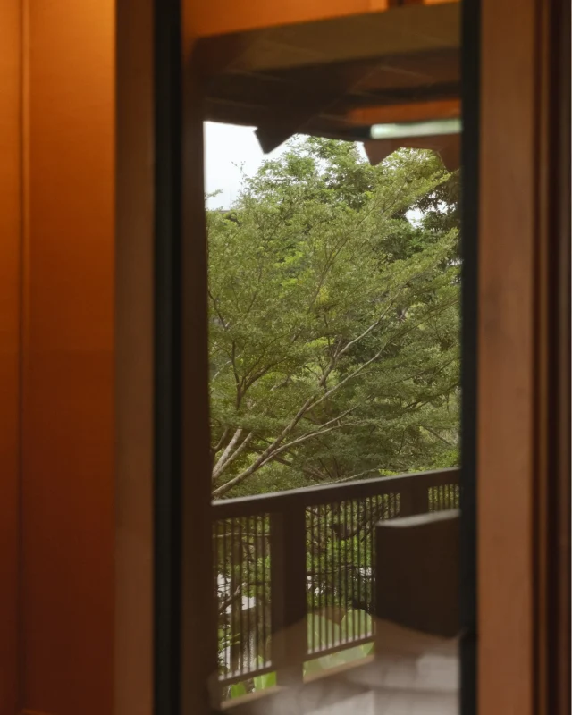 Even before you get up from your bed, you can bring comfort to the eyes with the relaxing view within your grasp. 🌳 See the tree branches extending towards your window 🪟, feel the soft light seeping into your room, and the color green from the leaves putting your mind at ease. This is a small moment of calm that can lift your spirit up while you're with us at Kirimaya. 🍃

ยังไม่ทันลุกจากเตียง ก็ได้พักสายตากับวิวที่อยู่ใกล้แค่เอื้อม 🌿 ต้นไม้ใหญ่เอนกิ่งเข้ามาใกล้หน้าต่าง แสงนุ่มๆ ค่อยๆ ส่องเข้ามาในห้อง และต้นไม้เขียวขจีตรงหน้าก็ทำให้เช้าวันใหม่ดูสงบขึ้นอย่างเป็นธรรมชาติ เป็นช่วงเวลาเล็กๆ ที่ทำให้การพักผ่อนที่คีรีมายาอบอุ่นและสบายใจขึ้นอย่างพอดี 🌞

#KirimayaKhaoyai #Relaxing #Refresh #AttaVilla