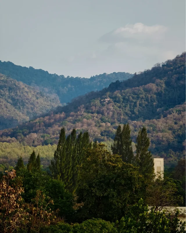 Nature always gets the palette right. 🪴 Layers of green drift into distant mountains beneath an open sky, and the daylight quietly reshapes the view as it moves. ☀️ It’s the kind of calm that asks for nothing, except that you slow down, breathe, and stay a little longer. 🍃

เฉดสีที่ธรรมชาติรังสรรค์ขึ้นมา มักสวยงามในแบบที่พอดีเสมอ 🌿 สีเขียวของต้นไม้ทอดยาวไปสู่แนวภูเขาที่ซ้อนกันอยู่ไกลๆ ท้องฟ้ากว้างไกลที่ทอดตัวอยู่เหนือภูเขา และแสงธรรมชาติที่ค่อยๆ เติมรายละเอียดให้วิวตรงหน้าดูสวยขึ้นในทุกช่วงเวลา เมื่อทุกสีสันมาอยู่รวมกัน ภาพตรงหน้าก็เต็มไปด้วยความสบายตา ความสงบ และความลงตัวที่ทำให้เราอยากหยุดมองได้นานขึ้นอีกนิด ⛰️🤍

#KirimayaKhaoyai #Relaxing #Refresh