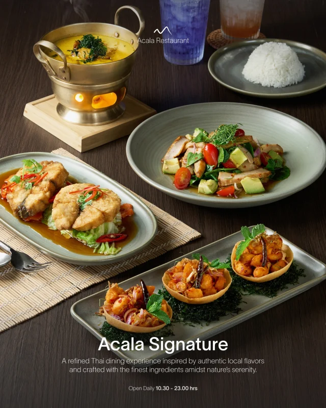 💫Discover the taste of authentic Thailand, elevated meets timeless Thai flavors, interweave of Natural ingredients from the local area — Each dish is thoughtfully crafted, balancing texture, aroma, and taste in perfect harmony to delight your senses

🥗🍝สัมผัสรสชาติอาหารไทยแท้ ที่ยกระดับผสานวัตถุดิบธรรมชาติจากท้องถิ่นอย่างลงตัว ทุกจานถูกรังสรรค์ขึ้นด้วยความพิถีพิถัน เพื่อสร้างความประใจให้ทุกประสาทสัมผัสของผู้ที่ได้ลิ้มลอง

The Signature menu features 
• Deep-fried sea bass fillet with turmeric
• Spicy avocado salad with a grilled pork neck
• North Thai curry noodles with crispy soft shell crab

 📍Acala Restaurant 

 🕐Open daily: 10:30 – 23:00 hrs

 ☎️For reservations or more information: 044-426-000

🍽️To explore the menus from all our restaurants, please visit www.kirimayarestaurant.com

#AcalaRestaurant #Kirimayakhaoyai #Thaicuisine #Thaimenu #Thaifoods #authenticthaifoods
