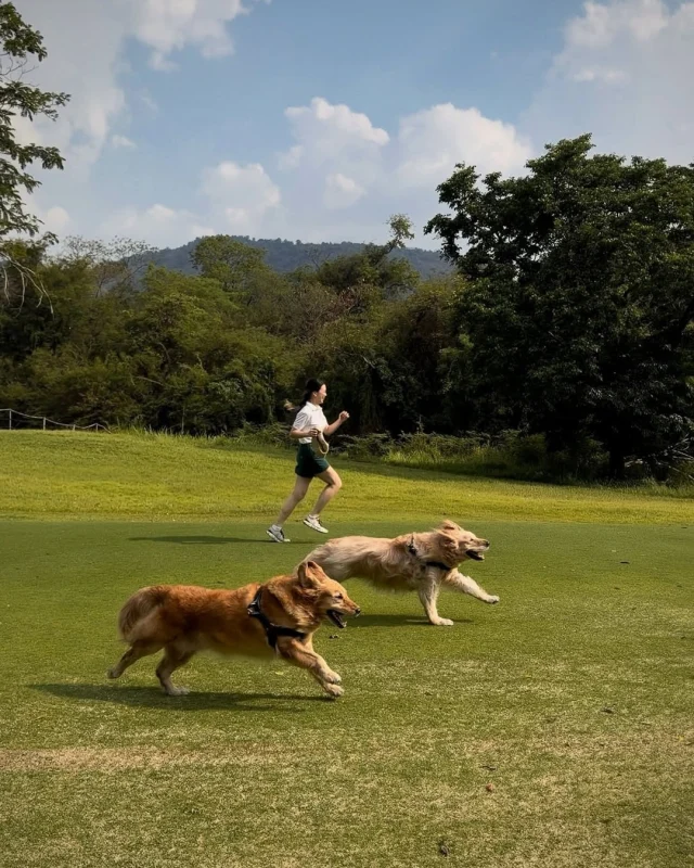 A day off at Kirimaya instantly feels more alive with a four-legged companion running beside you. 🦮🍃 From easy games on the pickleball court 🏓 to carefree runs through nature, every moment is filled with lightness and joy. It’s the kind of simple happiness that comes naturally when your favorite furry friend is around. ☀️💛 Captured by Khun @melpinthira Don’t forget to share your special moments with us at @kirimaya_khaoyai

วันพักผ่อนที่คีรีมายาสนุกขึ้นทันที เมื่อมีเพื่อนสี่ขามาวิ่งเล่นอยู่ข้างๆ 🐾🎾 ตั้งแต่เกมเบาๆ บนสนาม Pickleball ไปจนถึงการวิ่งเล่นท่ามกลางธรรมชาติ ทุกช่วงเวลาเต็มไปด้วยความสดใส เสียงหัวเราะ และความสบายใจที่เจ้าตัวโปรดพามาให้เสมอ 🌿 ขอบคุณภาพสวยๆ จากคุณ @melpinthira อย่าลืมแบ่งปันภาพความประทับใจของคุณกับเราที่ @kirimaya_khaoyai

#Kirimaya #Pickleball #Nature #KirimayaGuests