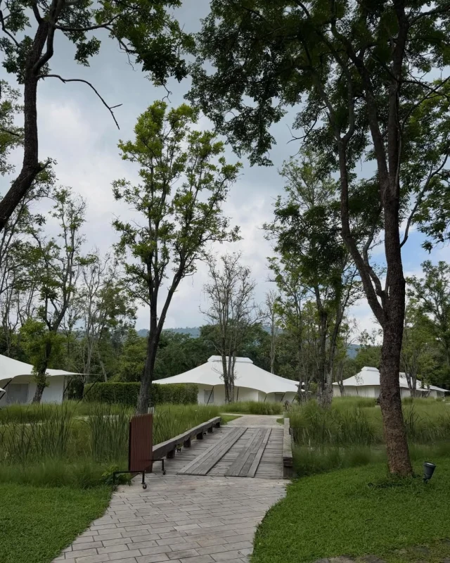 A light workout at Kirimaya can be as simple as a peaceful walk beneath the shade of tall trees. 🍃 Take in the fresh air, let your eyes rest on the greenery around you, and allow each gentle step to bring a quiet sense of refreshment to your day off. 🌳✨ Captured by Khun @kikpqlaewjai Don’t forget to share your special moments with us at @kirimaya_khaoyai

การออกกำลังกายเบาๆ ที่คีรีมายา เริ่มได้จากการเดินเล่นไปตามทางร่มรื่นใต้ต้นไม้ใหญ่ 🚶🏻‍♀️🌿 สูดอากาศดีๆ ปล่อยให้สายตาพักกับสีเขียวรอบตัว และให้จังหวะของก้าวเดินช่วยเติมความสดชื่นให้วันพักผ่อนอย่างพอดี 🫶🏻 ขอบคุณภาพสวยๆ จากคุณ @kikpqlaewjai อย่าลืมแบ่งปันภาพความประทับใจของคุณกับเราที่ @kirimaya_khaoyai

#Kirimaya #Relaxing #Nature #KirimayaGuests