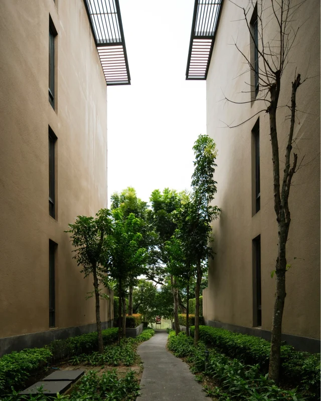 Along the corridor of Atta, trees integrate into the surrounding architecture, blending in as one. 🌳 Sunlight gently filters onto the walkway, giving this intimate space open air and an effortless feel. ☀️ What would be an ordinary walk becomes a serene moment to become closer with nature. 🌾

ระหว่างทางเดินของอัตตา ต้นไม้ค่อยๆ แทรกตัวอยู่ท่ามกลางตัวอาคารอย่างพอดี 🌿 แสงอาทิตย์ที่ค่อยๆ ส่องลงมายังทางเดินทำให้พื้นที่เล็กๆ นี้ดูโปร่ง โล่ง และสบายตา จนการเดินผ่านธรรมดาๆ กลายเป็นอีกหนึ่งช่วงเวลาที่ได้อยู่ใกล้ธรรมชาติมากขึ้น ☀️🍃

#KirimayaKhaoyai #AttaLakeSideResort #Nature #Relaxing #Refresh
