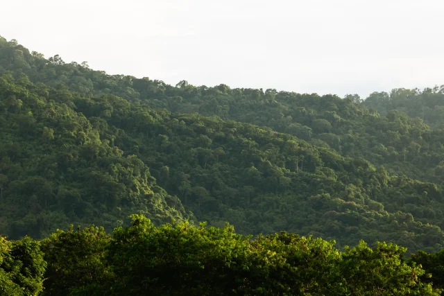 Nestled amidst a backdrop of lush green mountains, Kirimaya offers a peaceful retreat where you can rest your eyes and slow your mind. 🌱 Cast your glance into the distance, breathe in a lungful of fresh air, and let the serenity around you recharge your inner energy. Your heart is promised to be surprisingly at ease during this vacation you have. ⭐️

ท่ามกลางวิวภูเขาสลับซับซ้อนและธรรมชาติสีเขียวขจีรอบตัว ⛰️✨ คีรีมายาคือพื้นที่ที่ชวนให้เราได้หยุดพักสายตาและปล่อยใจให้หมุนช้าลง แค่ได้ทอดสายตามองออกไปไกลๆ สูดอากาศบริสุทธิ์เต็มปอด และปล่อยให้ความสงบรอบกายค่อยๆ ชาร์จพลังให้วันหยุด หัวใจก็ผ่อนคลายและเบาสบายขึ้นได้อย่างน่าแปลกใจ 🤍

#KirimayaKhaoyai #Nature #Relaxing #Refresh
