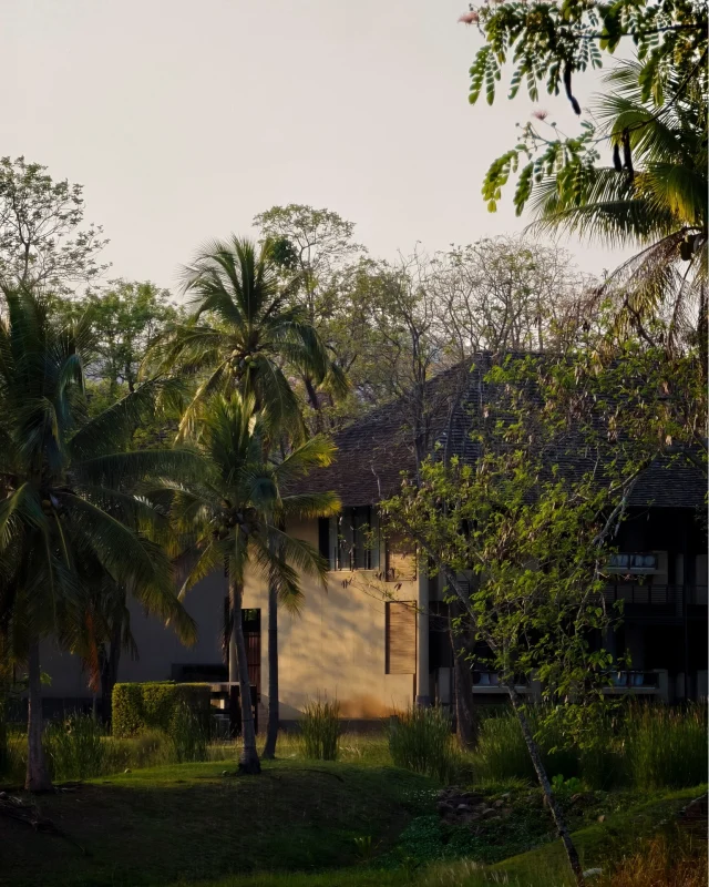 Enjoy the moment where the warmth of sunlight caresses the body of the buildings and all the surrounding trees, turning the atmosphere of Kirimaya into the air that feels just right. 🌾 Among the lush green fields of grass in the embrace of nature, everything invites you to slow down with the rhythms of your peaceful vacation. Let your eyes feast on the majestic scenery in front of you, let your body feel the refreshing air, and let your heart relax with the tranquility provided by nature. ☀️

ช่วงเวลาที่แสงอุ่นๆ ค่อยๆ พาดผ่านตัวอาคารและต้นไม้รอบๆ ทำให้บรรยากาศที่คีรีมายาดูนุ่มนวลขึ้นอย่างพอดี ⛰️ ท่ามกลางผืนหญ้าสีเขียวขจีและธรรมชาติที่โอบล้อมอยู่ใกล้ชิด ทุกอย่างชวนให้จังหวะของวันพักผ่อนค่อยๆ หมุนช้าลง ได้ทอดสายตามองวิวสวยตรงหน้า สูดอากาศสดชื่น และปล่อยให้หัวใจผ่อนคลายไปกับความสงบในช่วงเวลานี้ 🌬️

#KirimayaKhaoyai #Nature #Relaxing #Refresh