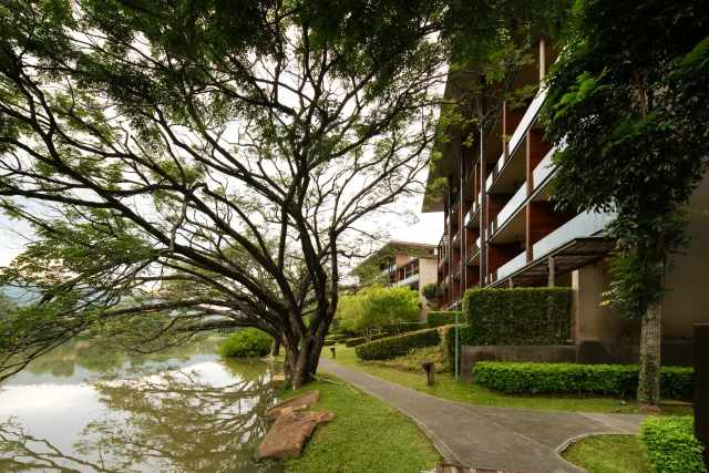 A serene view before your eyes is just a glimpse of what awaits you during your stay at Atta. 🌳 Such a scene of the lakeside pathway that stretches endlessly under the shade of trees, embraced by lush, soothing greenery is what invites you outside to step into the fresh air. Let time drift by unhurriedly as you rest amidst the quiet tranquility of nature. 🍃

ทัศนียภาพอันแสนสงบตรงหน้า คือหนึ่งในบรรยากาศที่คุณจะได้สัมผัสเมื่อมาพักผ่อนที่อัตตา 🌊 ทางเดินริมทะเลสาบทอดตัวอย่างนุ่มนวลใต้ร่มไม้ใหญ่ รายล้อมด้วยความเขียวขจีที่สบายตา ชวนให้ออกมาเดินสูดอากาศบริสุทธิ์ และปล่อยให้เวลาหมุนผ่านไปพร้อมกับความเงียบสงบของธรรมชาติอย่างไม่เร่งรีบ ⭐️

#KirimayaKhaoyai #AttaLakeSideResort #Nature #Relaxing #Refresh